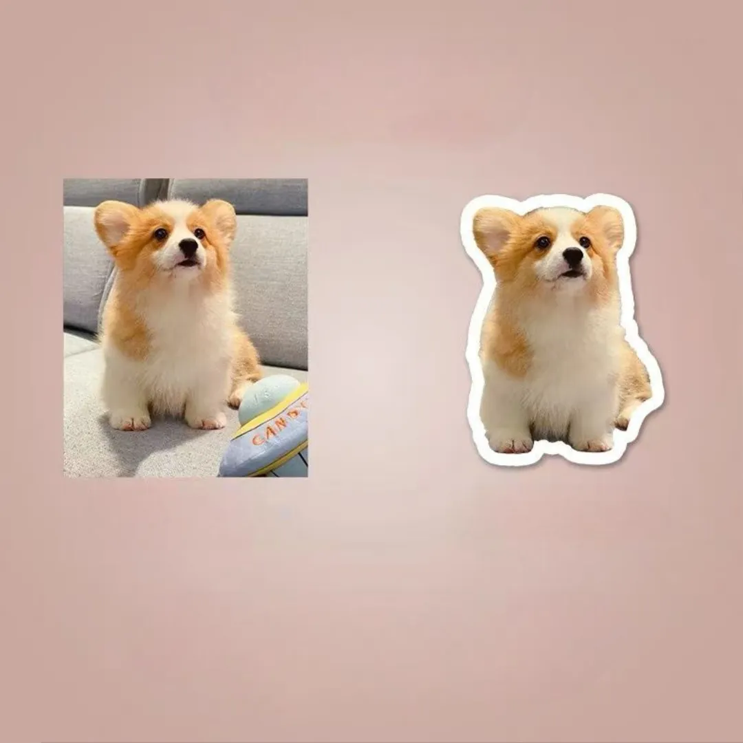 Custom Pet Photo Fridge Magnet 1