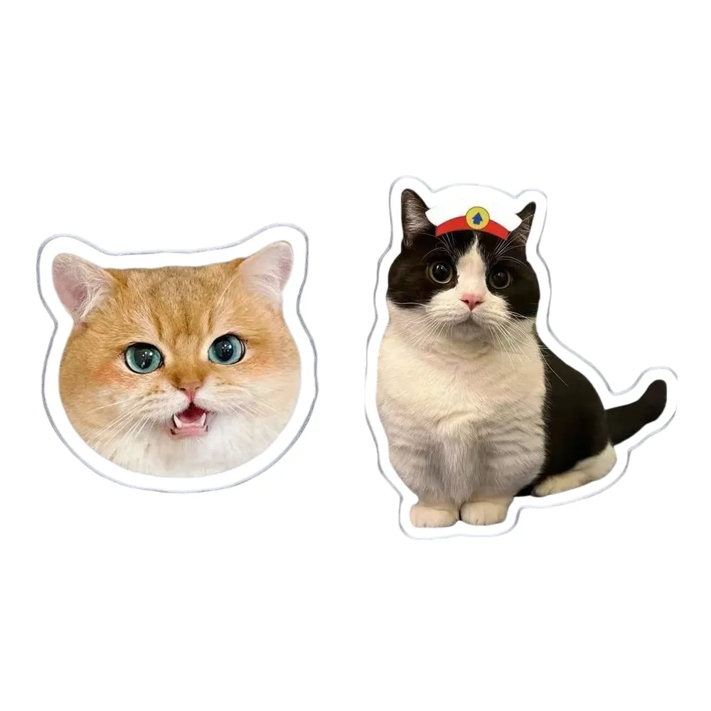 Custom Pet Photo Fridge Magnet